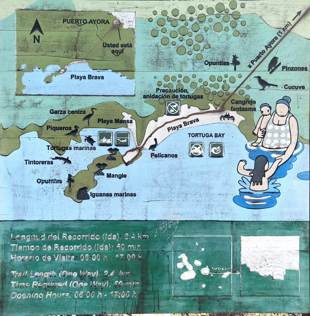 Mapa Tortuga Bay