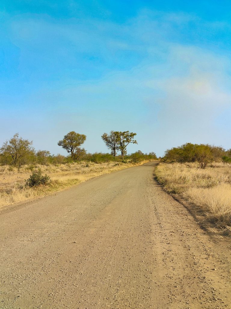 Carretera secundaria en el Kruger NP