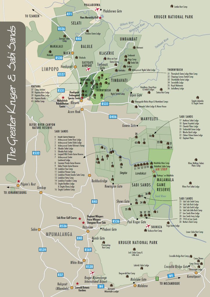 Mejores reservas privadas en Kruger National Park [Guía Completa