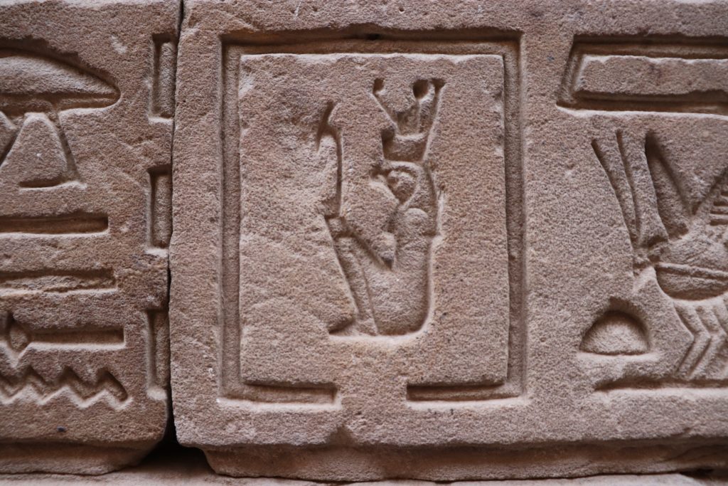 Jeroglífico que representa al dios Horus en el pasaje de la victoria
