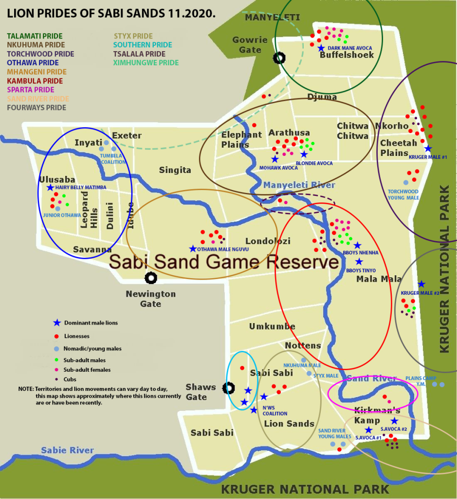 Mapa de leones en Sabi Sand GR