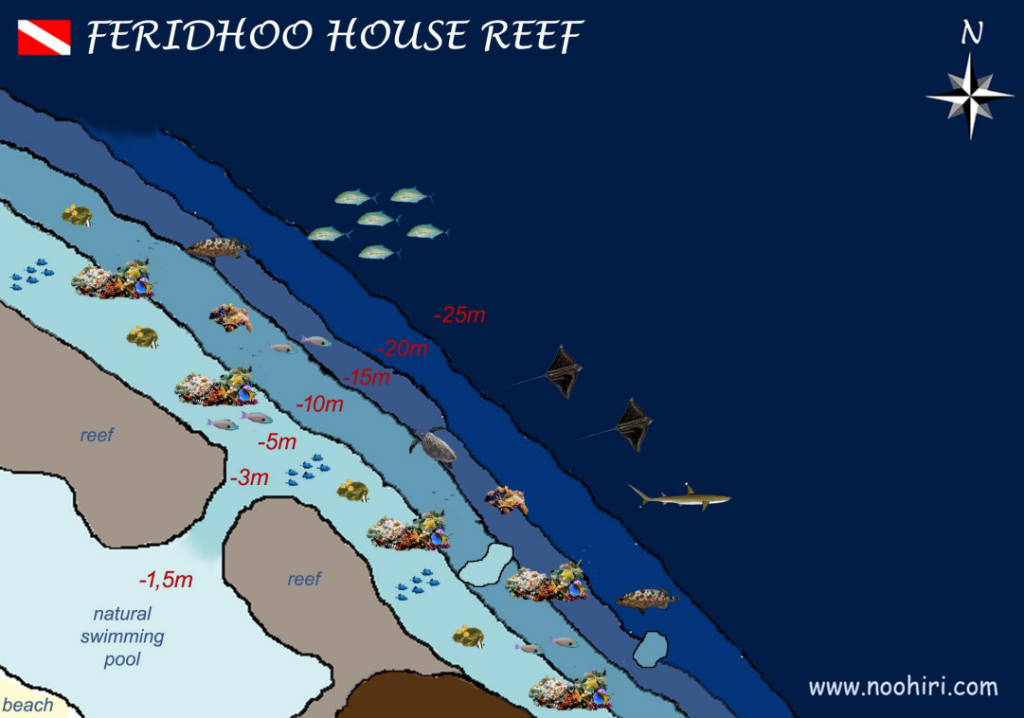 House Reef Fulidhoo