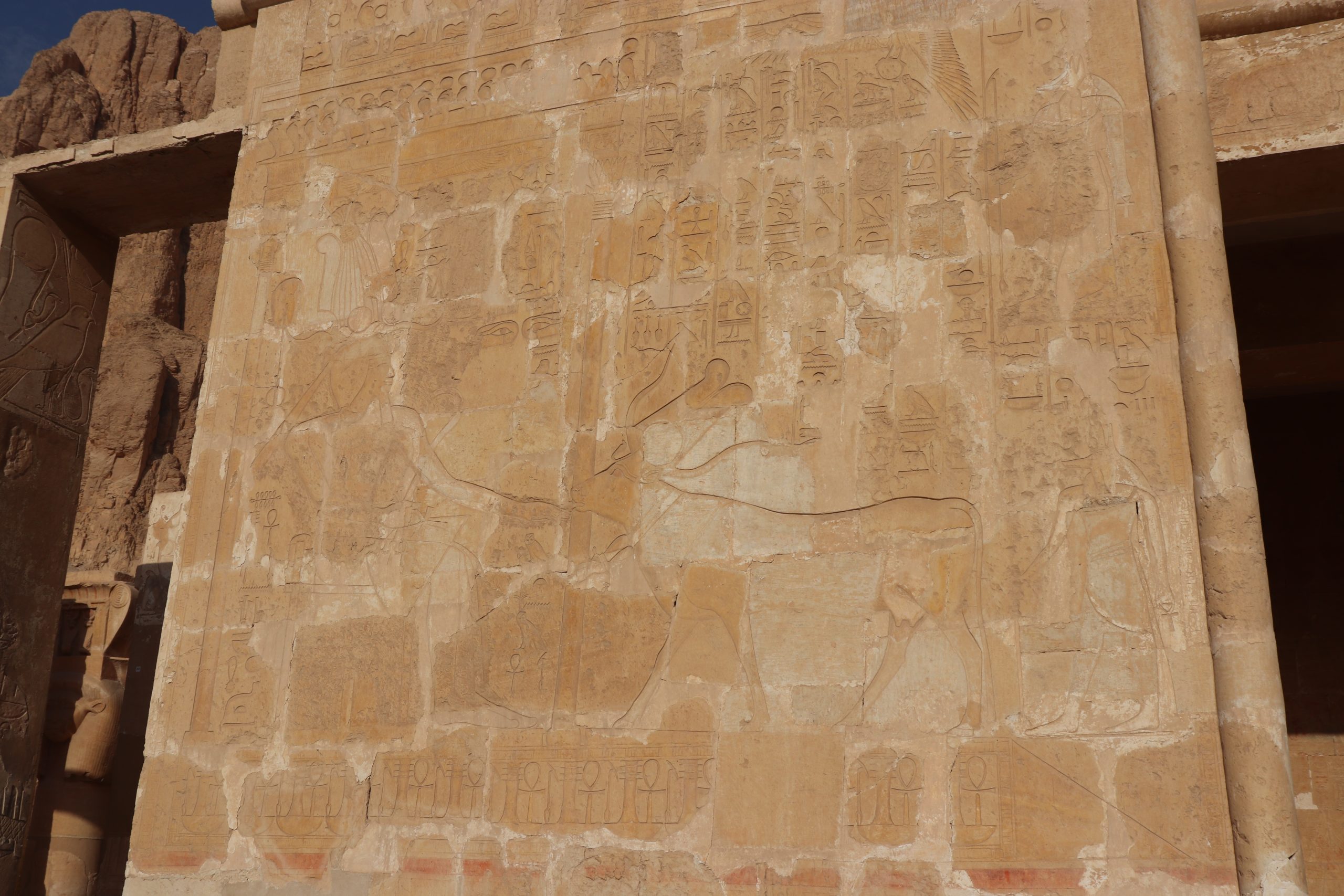 Cómo visitar el Templo de Hatshepsut - Relieve de la Capilla de Hathor