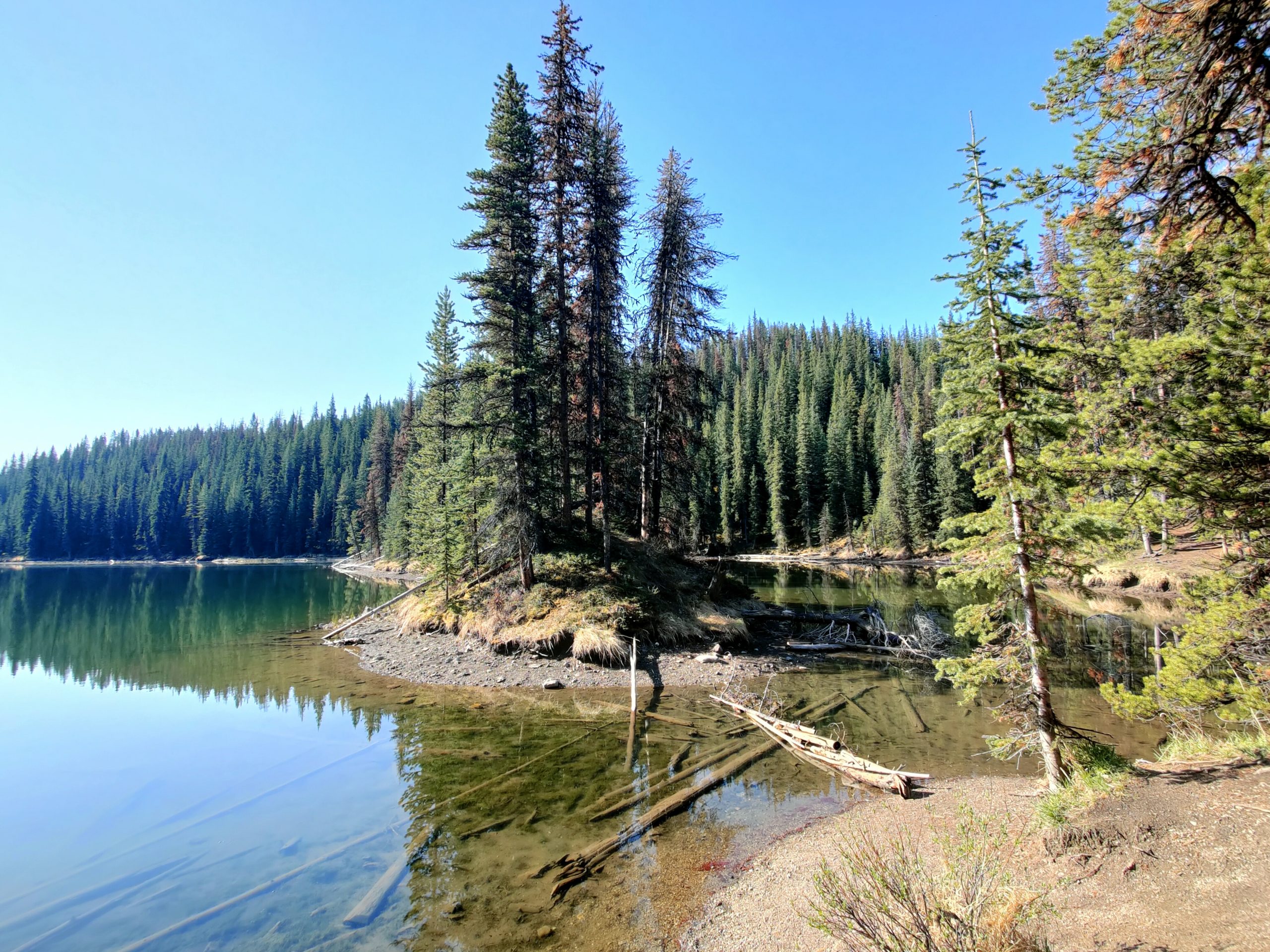 Qué ver en Jasper National Park - Moose Lake